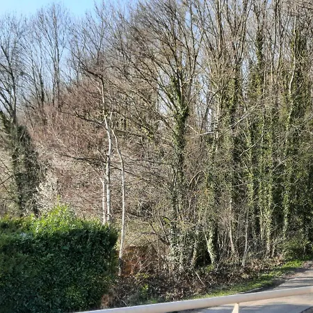 La Maison De Marie Oda ve Kahvaltı Binche