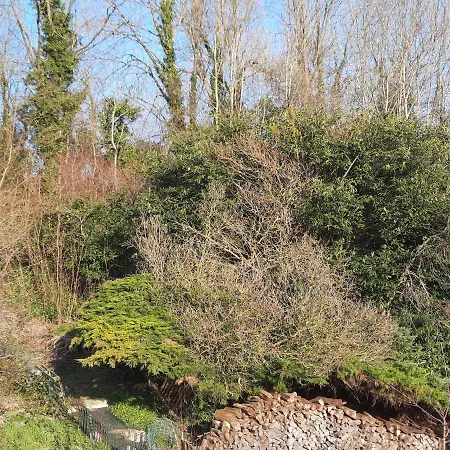 Bed & Breakfast La Maison De Marie Binche